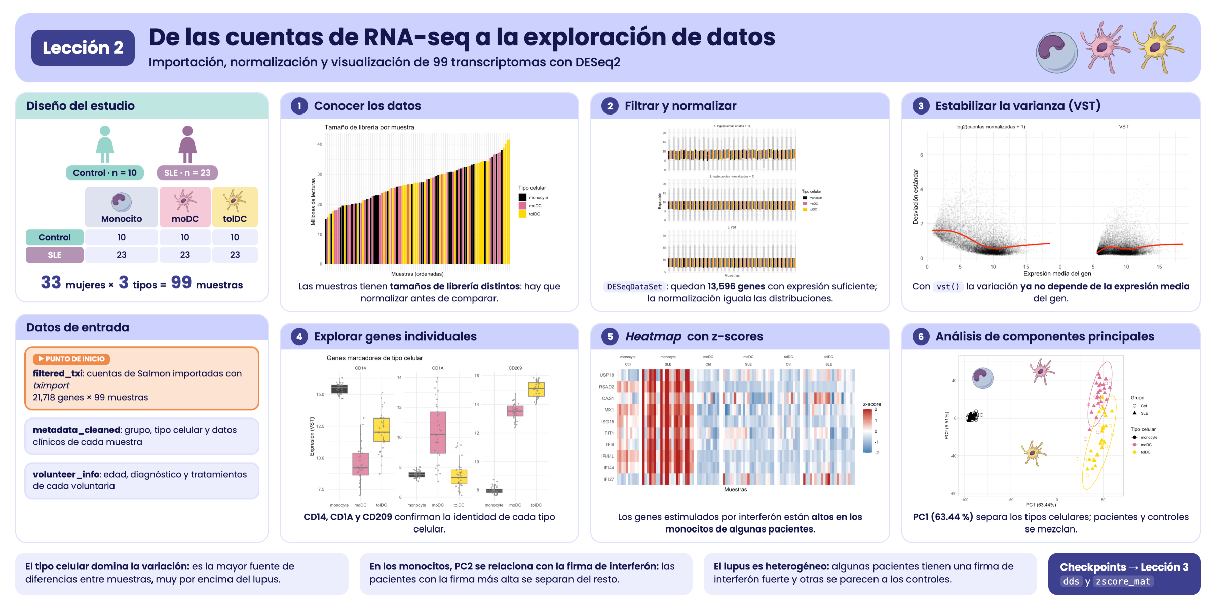 Resumen visual de la lección 2.