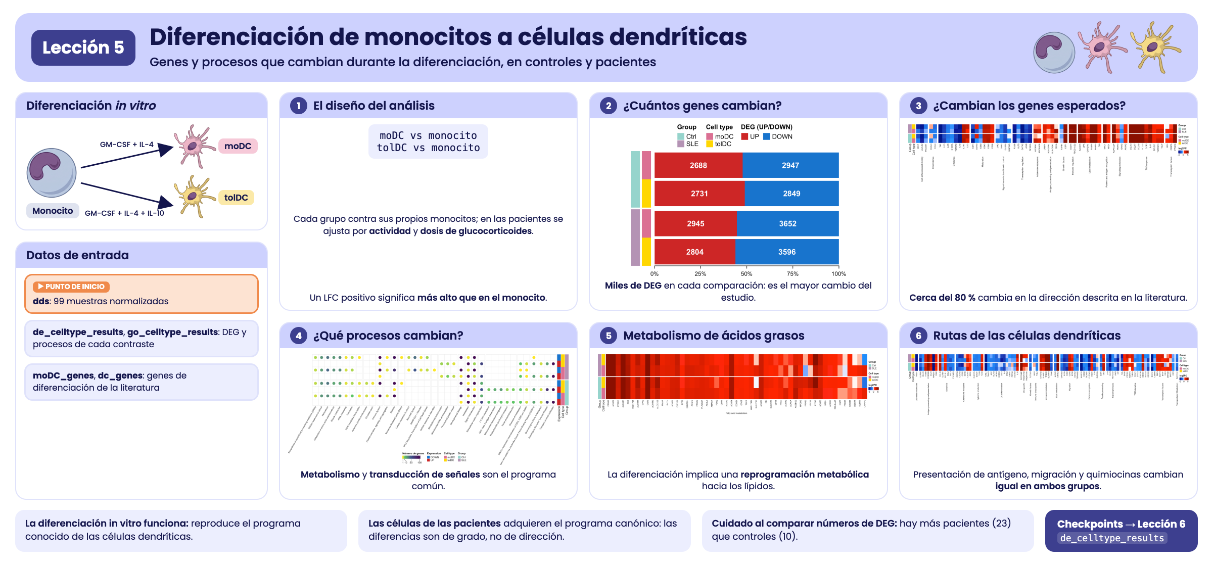 Resumen visual de la lección 5.