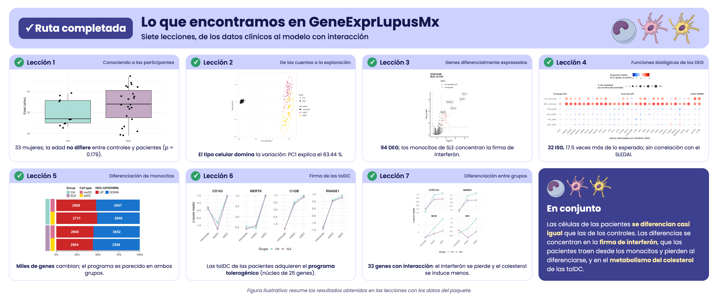 Figura ilustrativa que resume los hallazgos de la ruta de aprendizaje. Solo ilustra los resultados obtenidos en las lecciones con los datos del paquete; no es una figura del artículo.