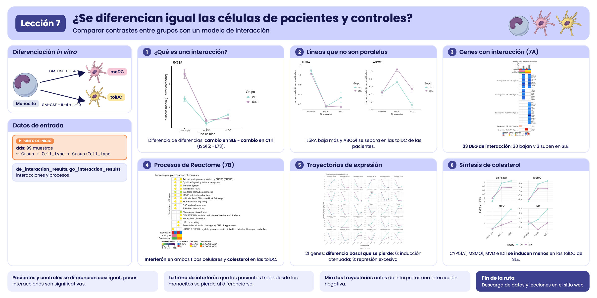 Resumen visual de la lección 7.