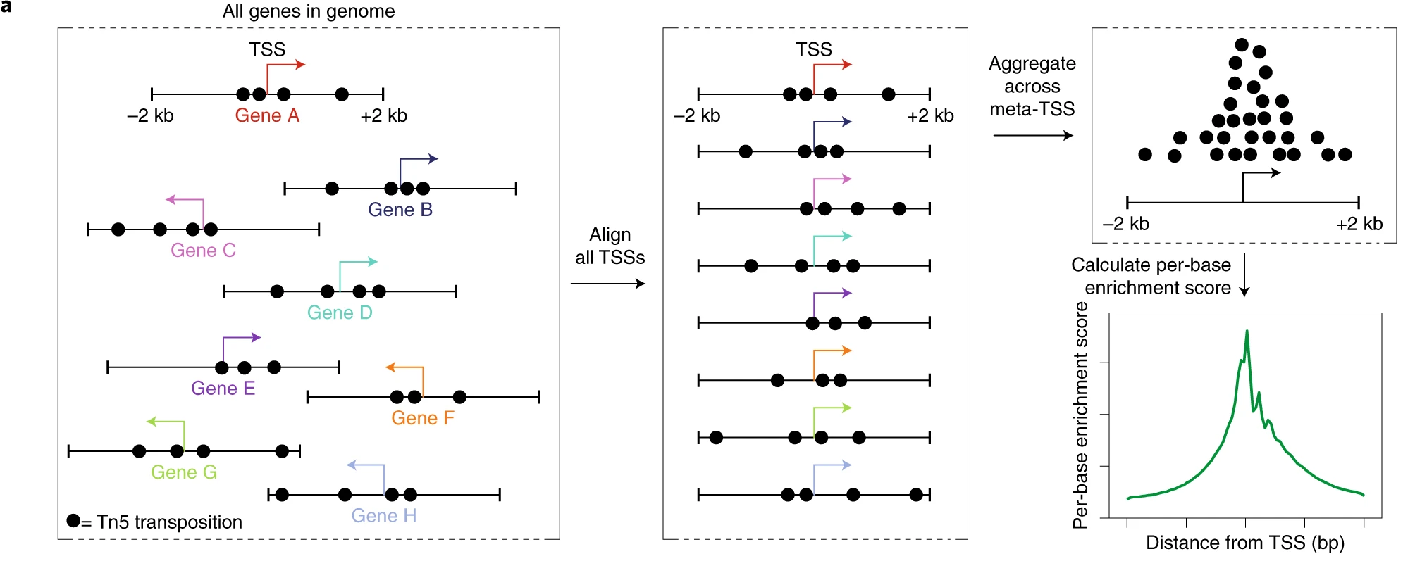 Assessing ATAC-seq library quality. From: Grandi, et al. 2022. Nature Protocols.